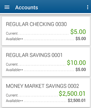 View Account Balances in our Mobile App